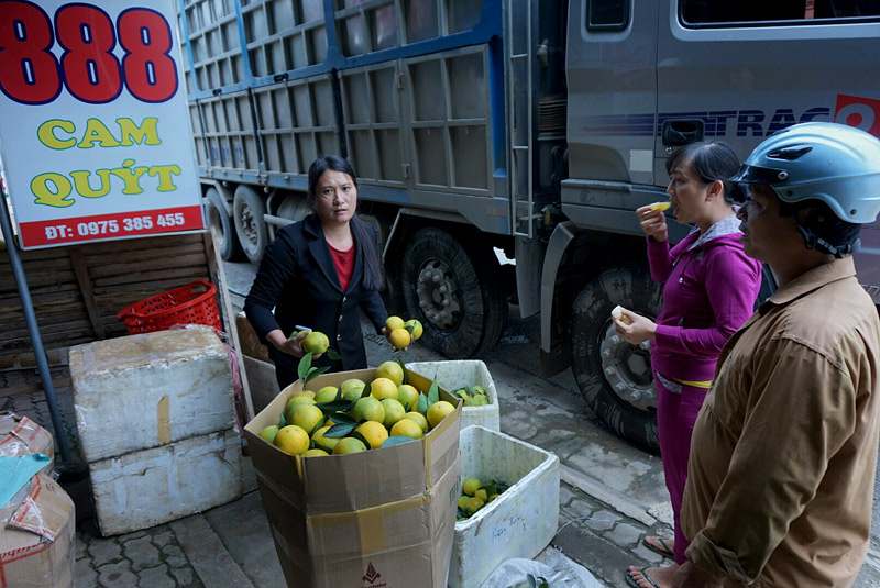 Cam Cao Phong đưa đi các tỉnh