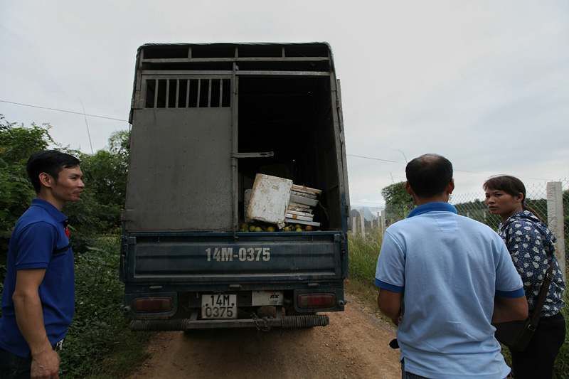 Tiêu thụ cam